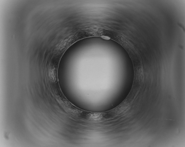 X0000101110088200806261423