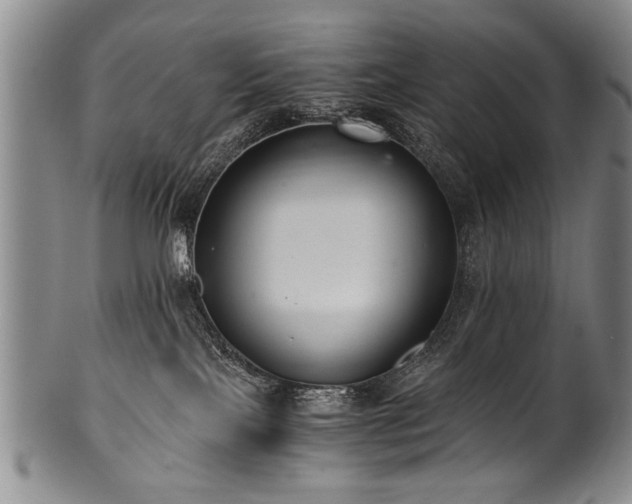X0000101110089200806261423