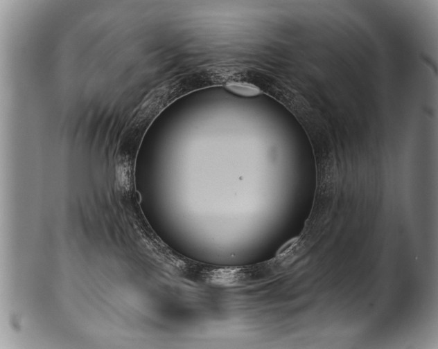 X0000101110090200806261423