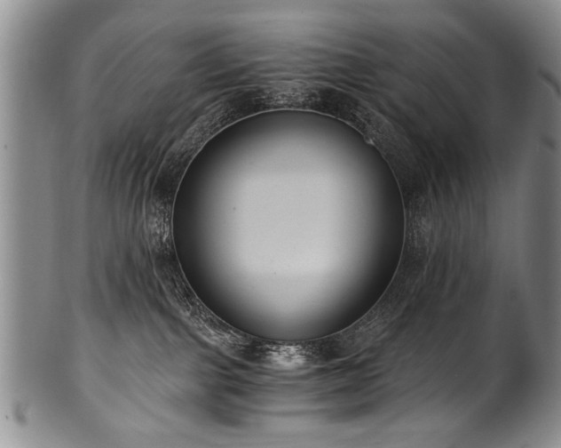 X0000101110091200806261423