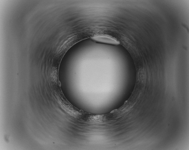 X0000101110092200806261423