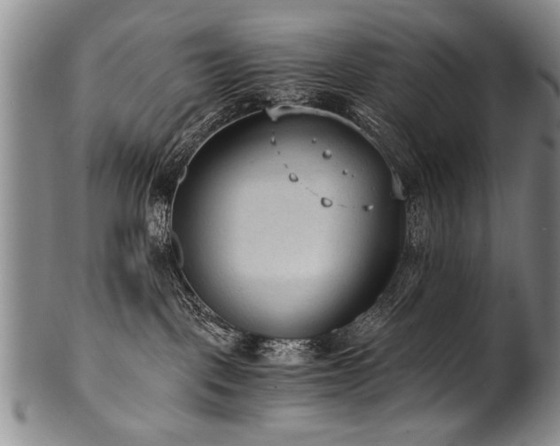 X0000101110093200806261423