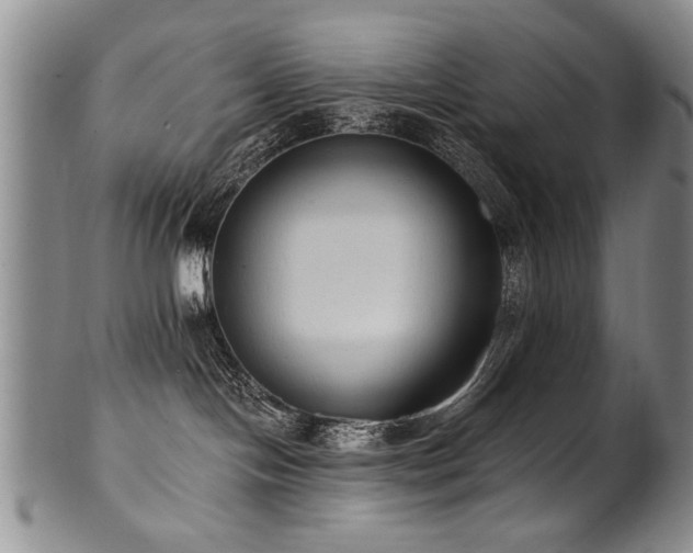 X0000101110094200806261423