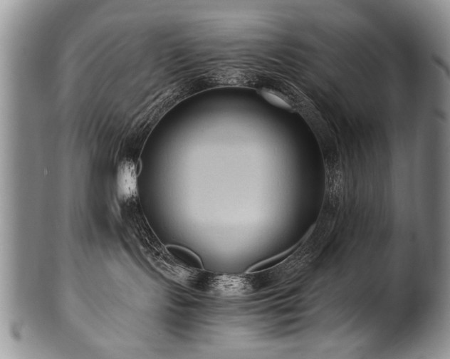 X0000101110095200806261423