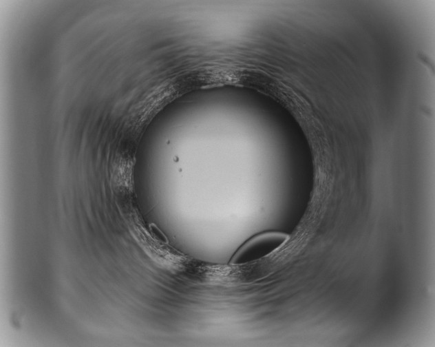 X0000101110096200806261423