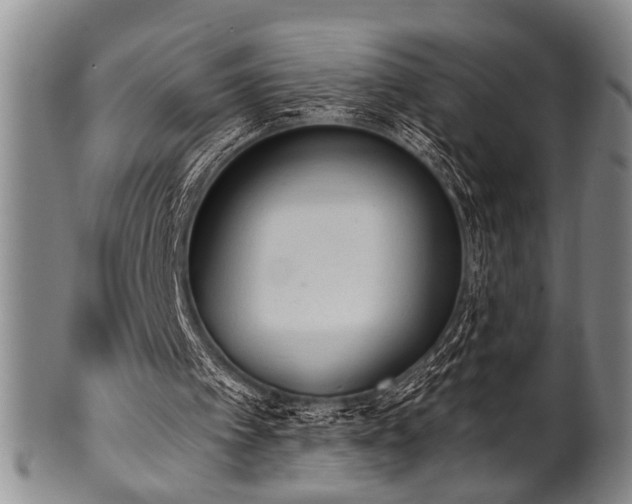 X0000101110097200806261422