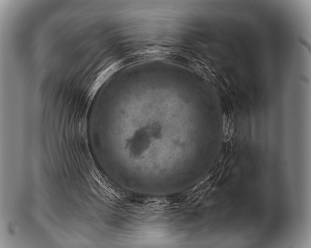 X0000101110099200806261422