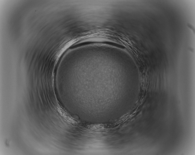 X0000101110100200806261422
