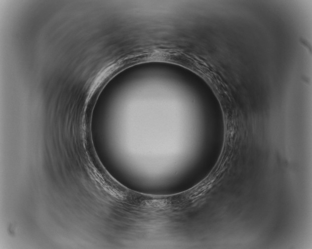 X0000101110102200806261422