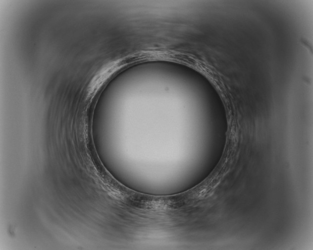 X0000101110103200806261422