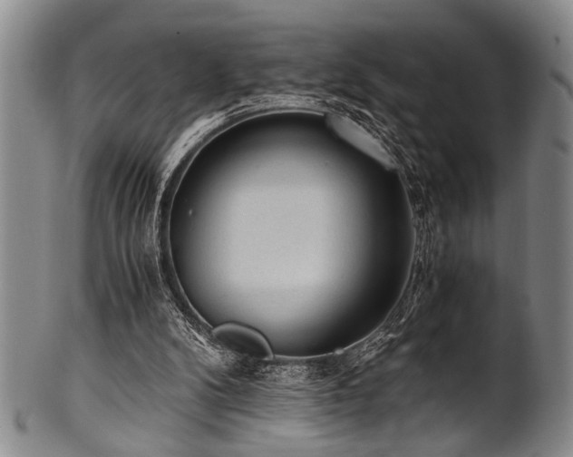 X0000101110104200806261422