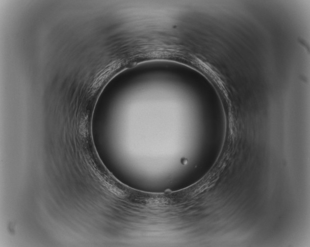 X0000101110105200806261422