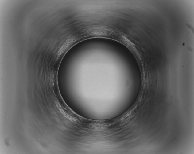 X0000101110106200806261422