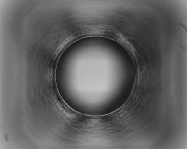 X0000101110107200806261422