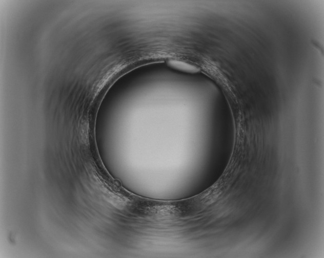 X0000101110108200806261422