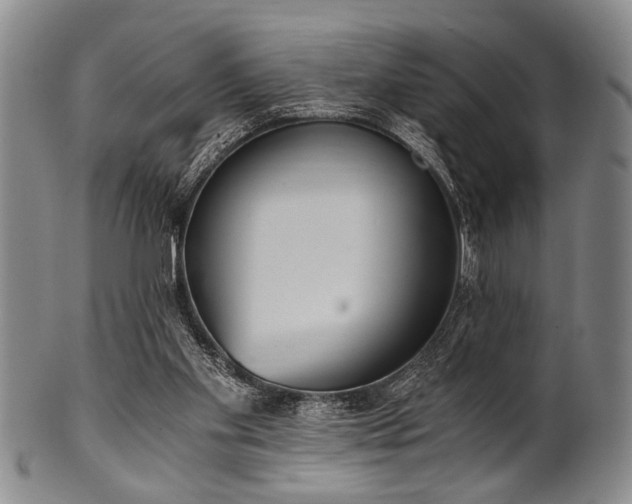 X0000101110109200806261422