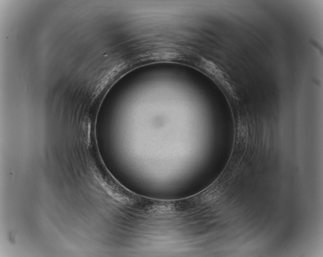 X0000101110110200806261422
