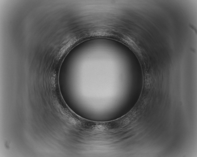 X0000101110111200806261422