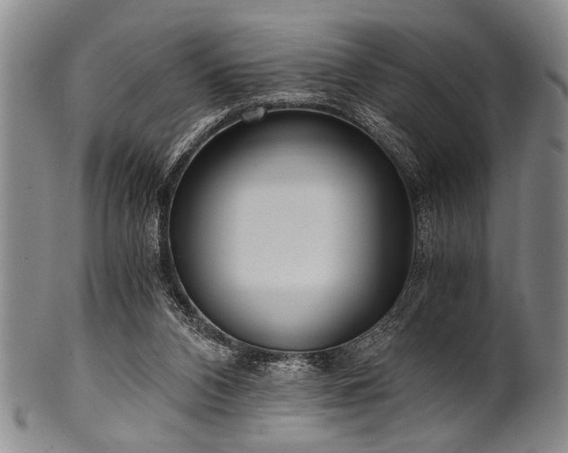 X0000101110112200806261422