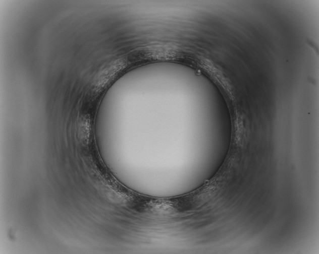 X0000101110113200806261422