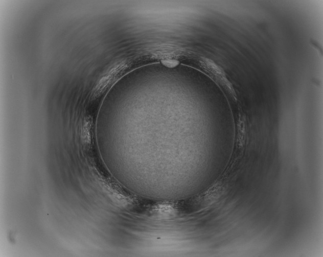 X0000101110114200806261422