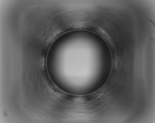 X0000101110115200806261422