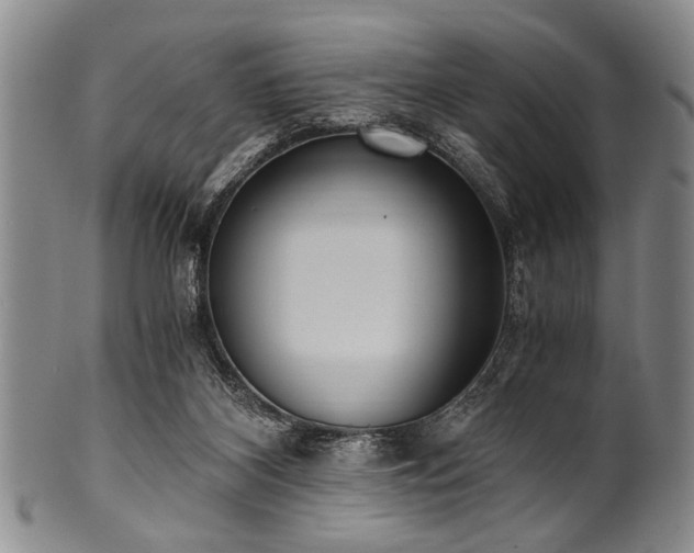 X0000101110116200806261422