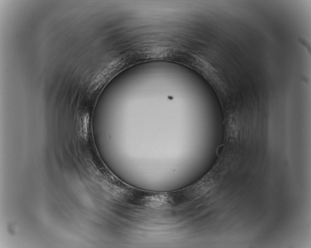 X0000101110118200806261422