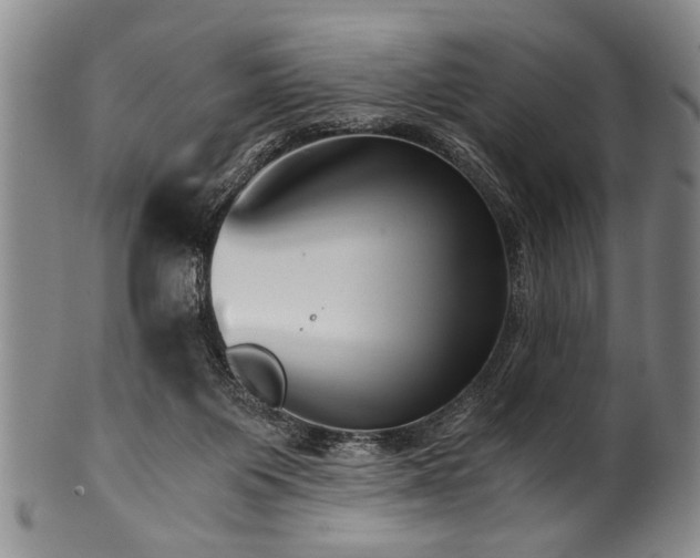 X0000101110119200806261422