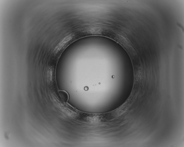 X0000101110120200806261422