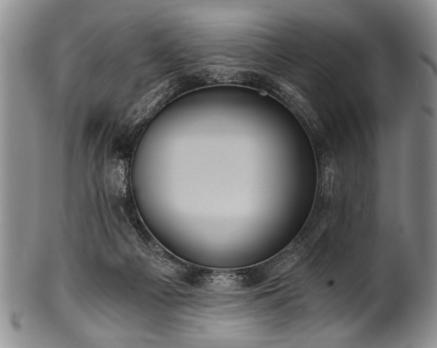 X0000101110121200806261422