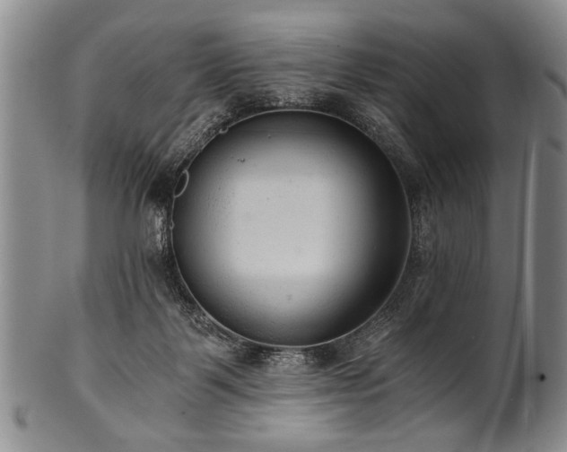 X0000101110123200806261421