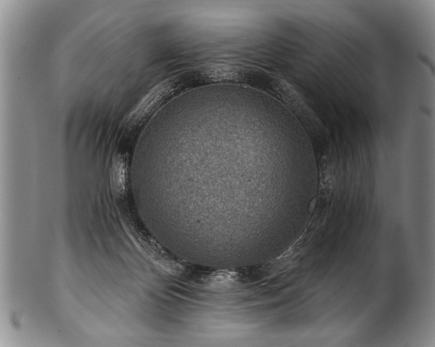 X0000101110124200806261421
