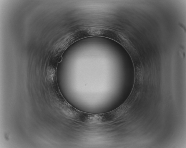 X0000101110125200806261421
