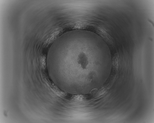X0000101110127200806261421