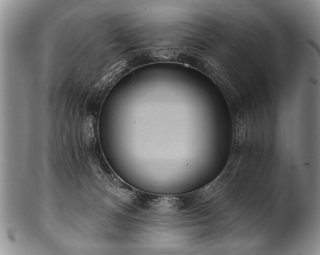 X0000101110128200806261421