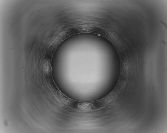 X0000101110129200806261421