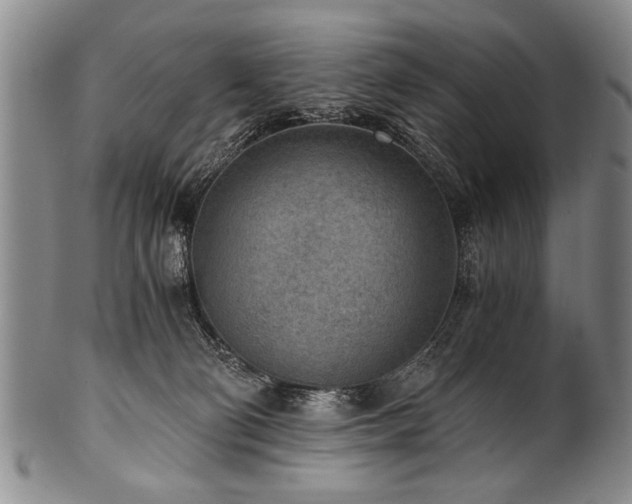 X0000101110130200806261421