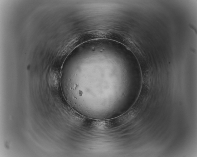 X0000101110131200806261421