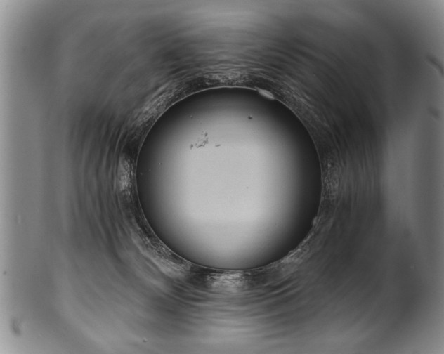X0000101110132200806261421