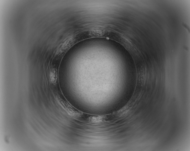 X0000101110134200806261421