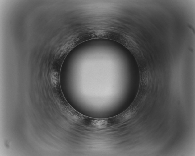 X0000101110135200806261421