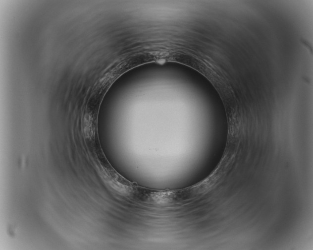X0000101110136200806261421