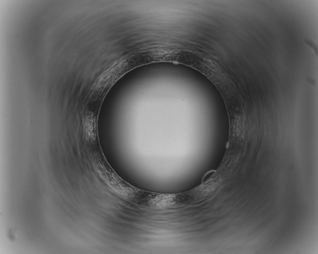 X0000101110138200806261421