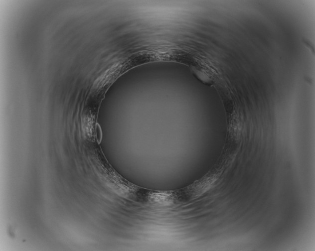 X0000101110139200806261421