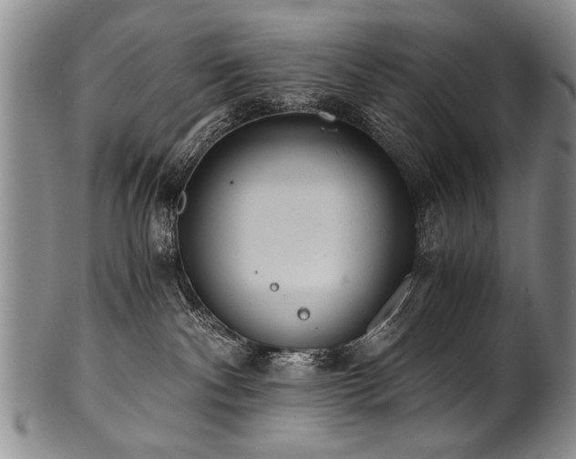 X0000101110140200806261421