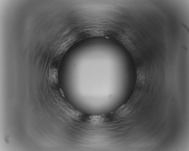 X0000101110141200806261421