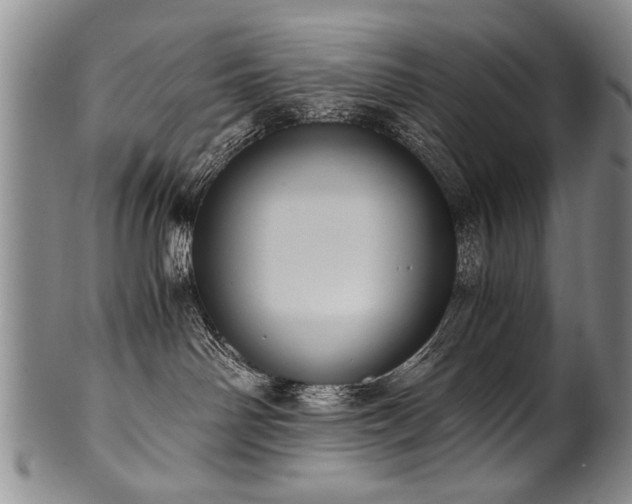 X0000101110142200806261421