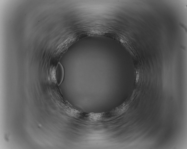 X0000101110143200806261421