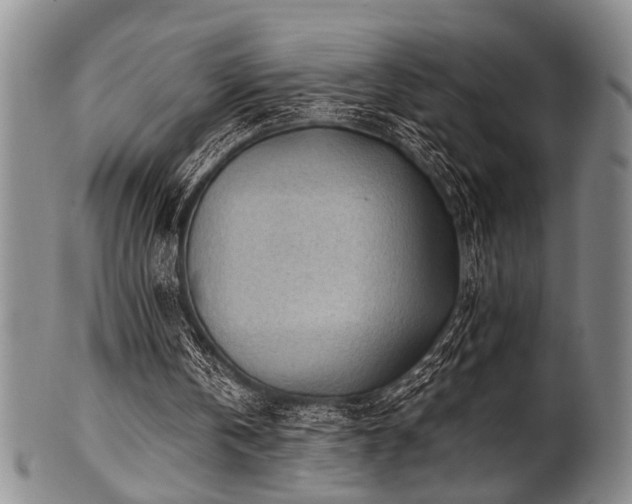 X0000101110146200806261420
